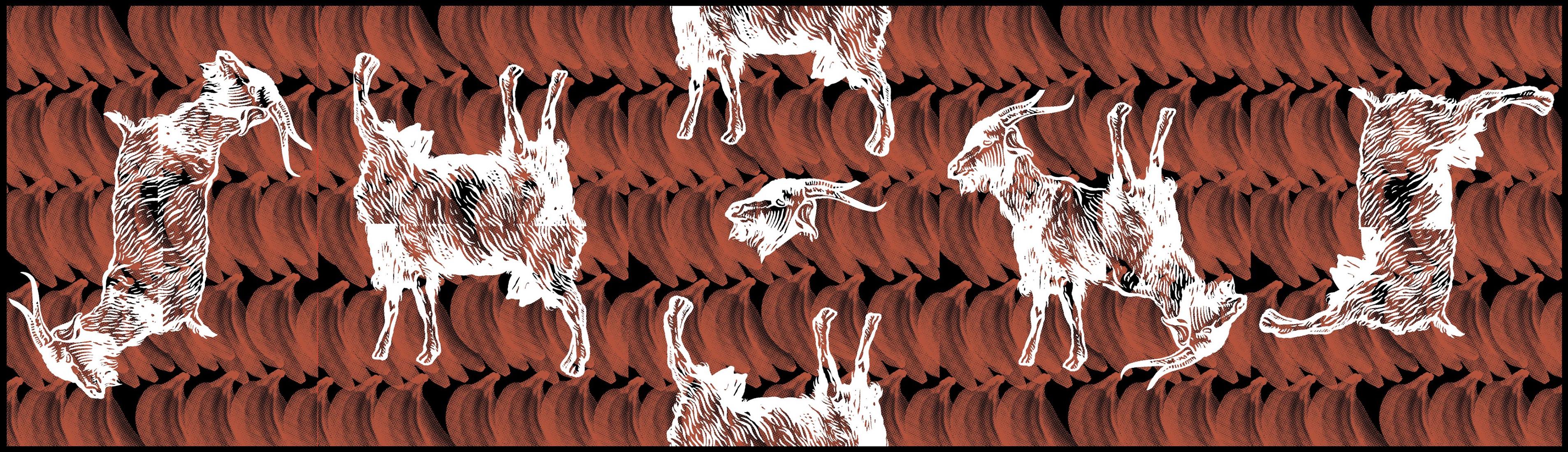 14615673_1156988564369054_2262894264279876094_o